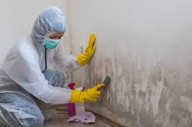 Best Forensic Mold Investigation  in Cedar Knolls, NJ